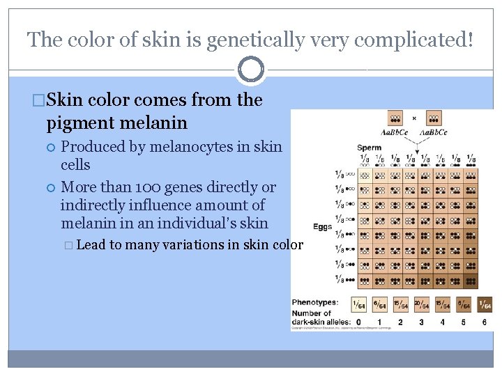 The color of skin is genetically very complicated! �Skin color comes from the pigment
