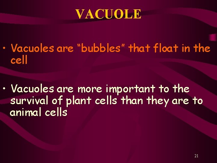VACUOLE • Vacuoles are “bubbles” that float in the cell • Vacuoles are more