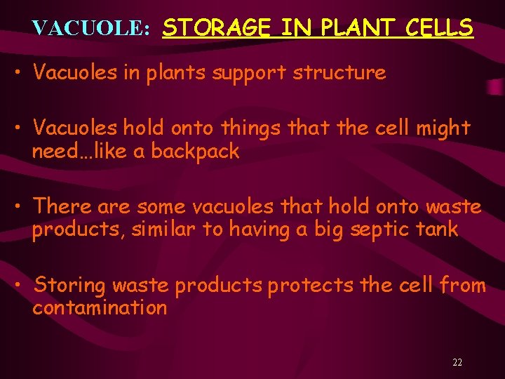 VACUOLE: STORAGE IN PLANT CELLS • Vacuoles in plants support structure • Vacuoles hold