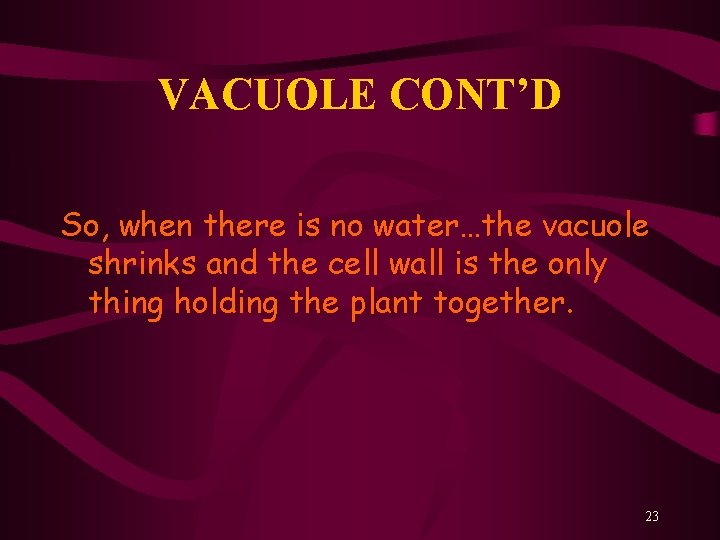 VACUOLE CONT’D So, when there is no water…the vacuole shrinks and the cell wall