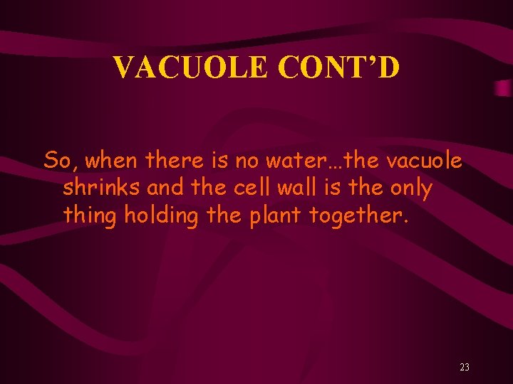 VACUOLE CONT’D So, when there is no water…the vacuole shrinks and the cell wall