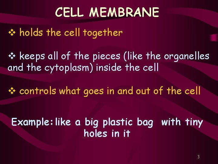 CELL MEMBRANE v holds the cell together v keeps all of the pieces (like