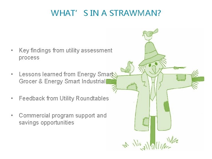WHAT’S IN A STRAWMAN? • Key findings from utility assessment process • Lessons learned
