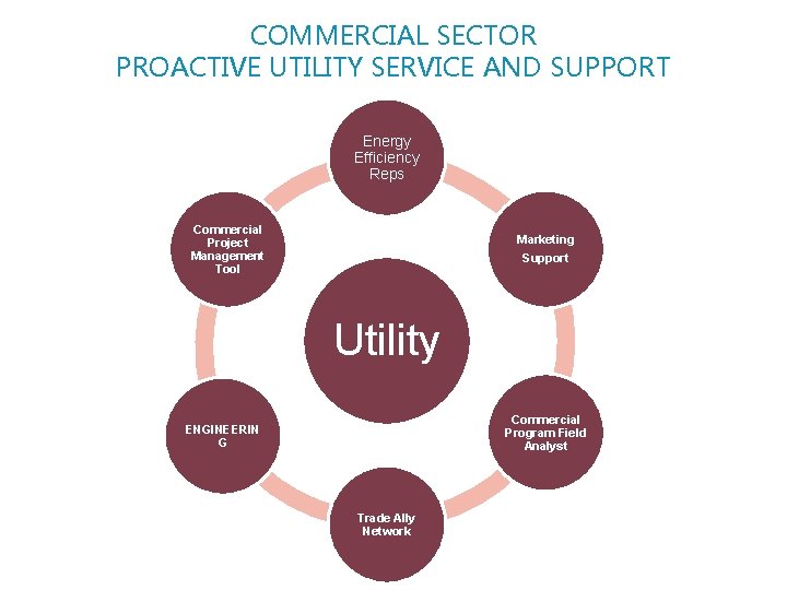 COMMERCIAL SECTOR PROACTIVE UTILITY SERVICE AND SUPPORT Energy Efficiency Reps Commercial Project Management Tool