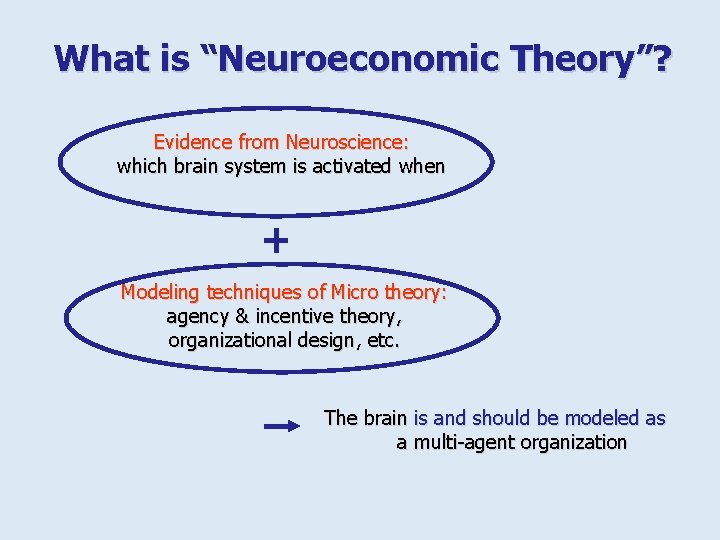 What is “Neuroeconomic Theory”? Evidence from Neuroscience: which brain system is activated when Modeling