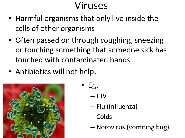Viruses • Harmful organisms that only live inside the cells of other organisms •