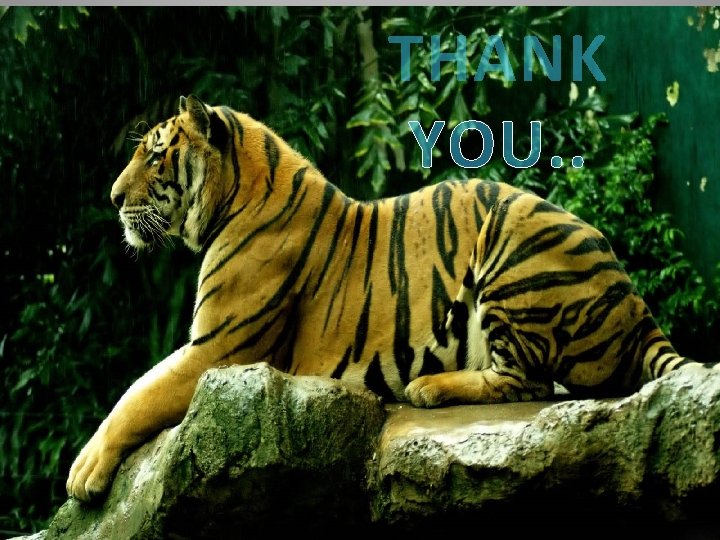 THANK YOU. . 