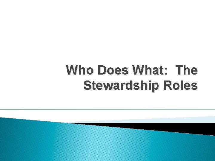 Who Does What: The Stewardship Roles 