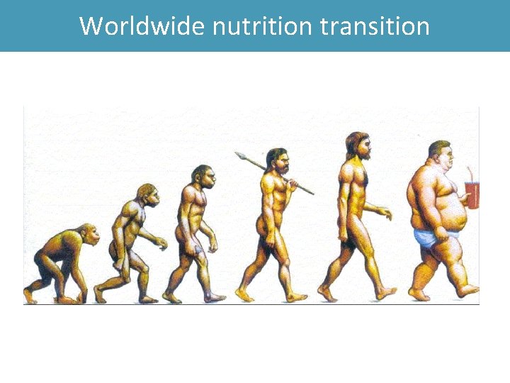Worldwide nutrition transition 