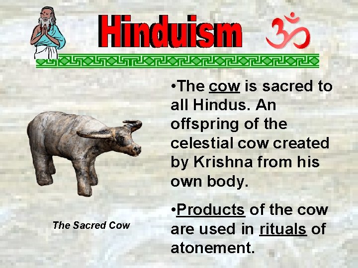  • The cow is sacred to all Hindus. An offspring of the celestial
