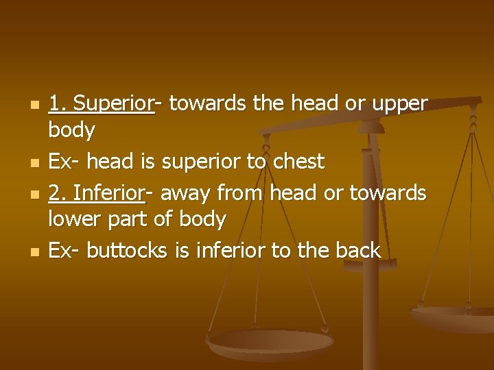 n n 1. Superior- towards the head or upper body Ex- head is superior