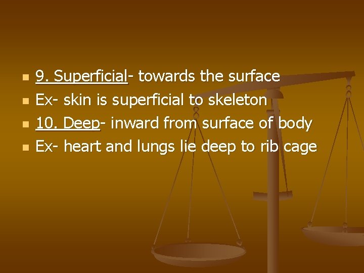 n n 9. Superficial- towards the surface Ex- skin is superficial to skeleton 10.