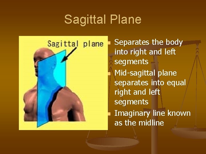 Sagittal Plane n n n Separates the body into right and left segments Mid-sagittal