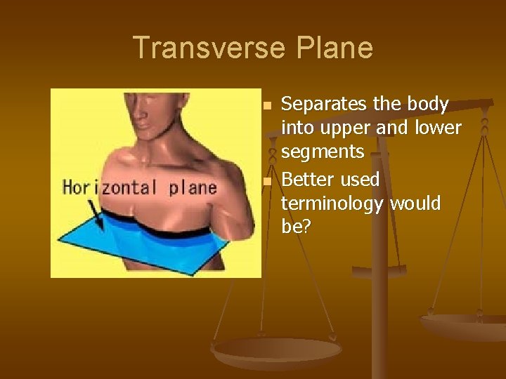 Transverse Plane n n Separates the body into upper and lower segments Better used