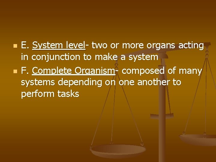n n E. System level- two or more organs acting in conjunction to make