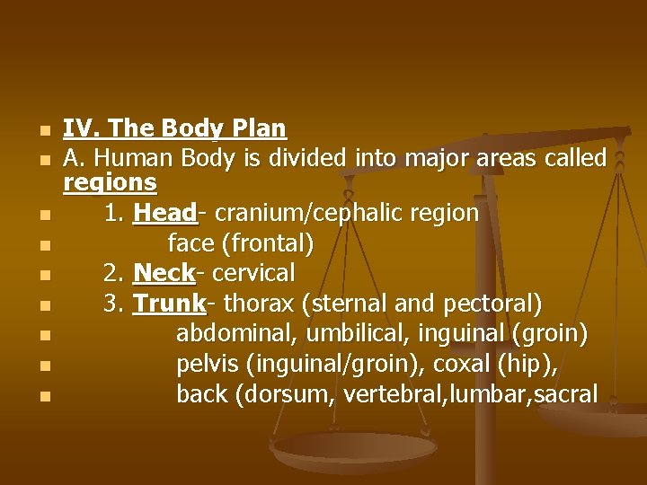 n n n n n IV. The Body Plan A. Human Body is divided
