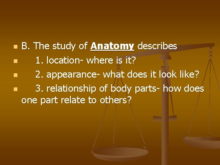 n n B. The study of Anatomy describes 1. location- where is it? 2.