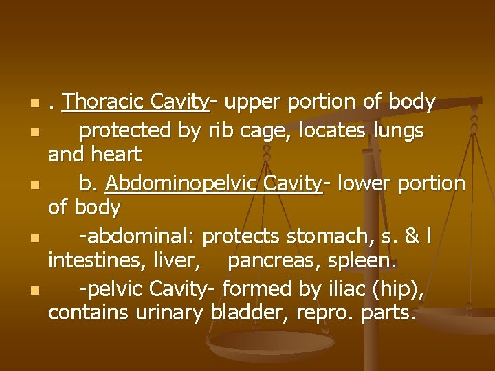 n n n . Thoracic Cavity- upper portion of body protected by rib cage,
