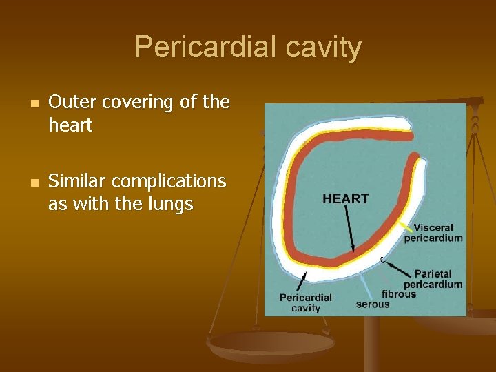 Pericardial cavity n n Outer covering of the heart Similar complications as with the