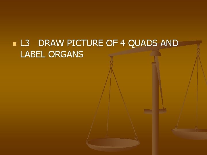 n L 3 DRAW PICTURE OF 4 QUADS AND LABEL ORGANS 
