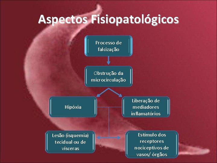 Aspectos Fisiopatológicos Processo de falcização Obstrução da microcirculação Hipóxia Lesão (isquemia) tecidual ou de