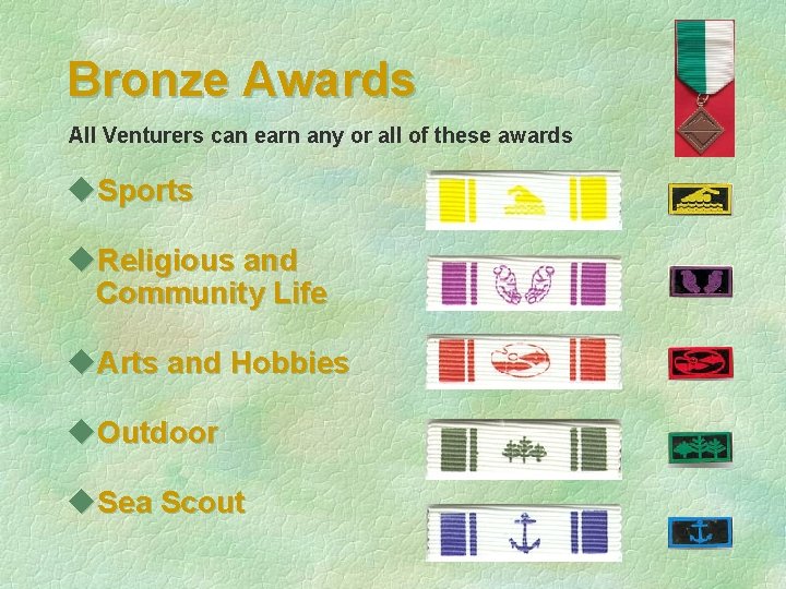 Bronze Awards All Venturers can earn any or all of these awards u. Sports