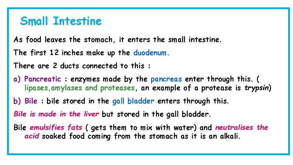 Small Intestine As food leaves the stomach, it enters the small intestine. The first