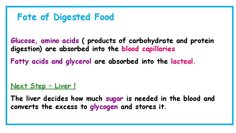 Fate of Digested Food Glucose, amino acids ( products of carbohydrate and protein digestion)