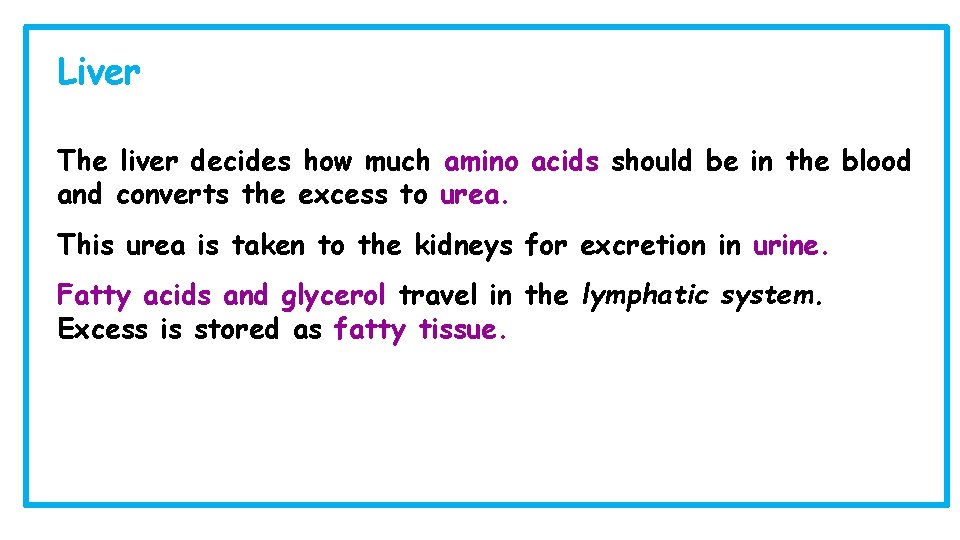 Liver The liver decides how much amino acids should be in the blood and