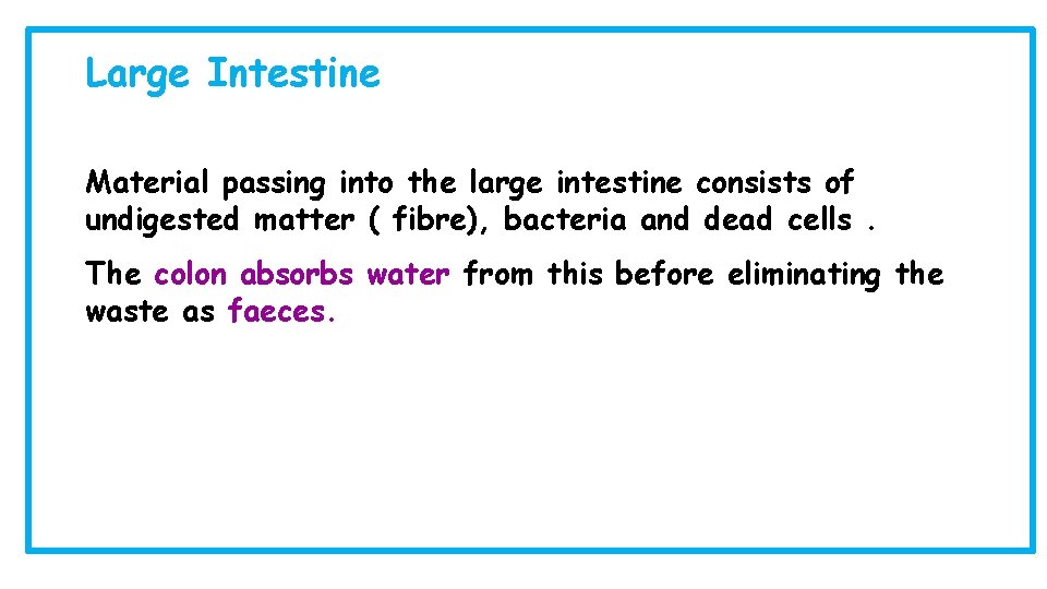 Large Intestine Material passing into the large intestine consists of undigested matter ( fibre),