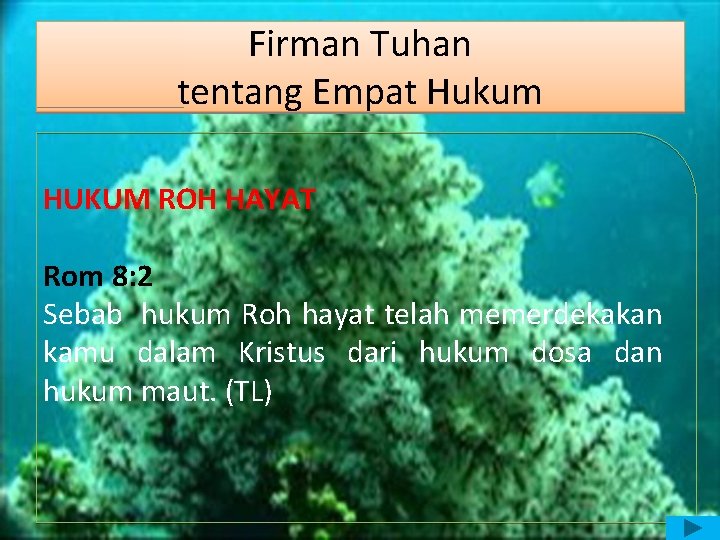 Firman Tuhan tentang Empat Hukum HUKUM ROH HAYAT Rom 8: 2 Sebab hukum Roh