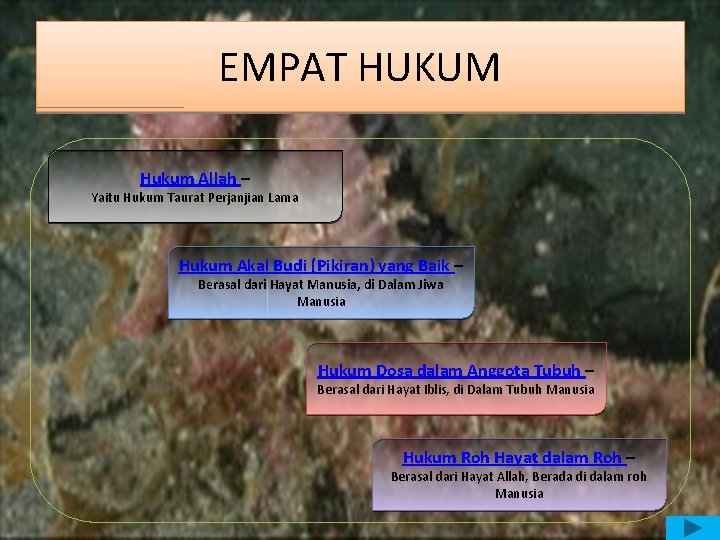 EMPAT HUKUM Hukum Allah – Yaitu Hukum Taurat Perjanjian Lama Hukum Akal Budi (Pikiran)