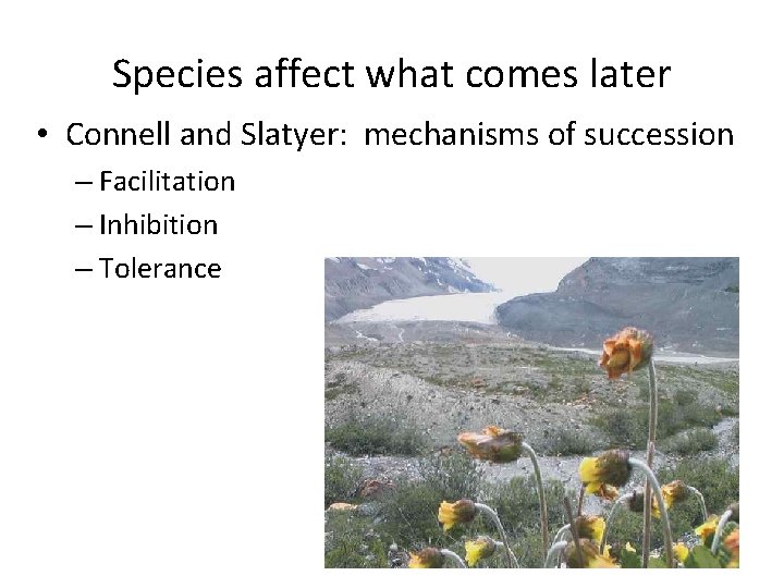 Species affect what comes later • Connell and Slatyer: mechanisms of succession – Facilitation