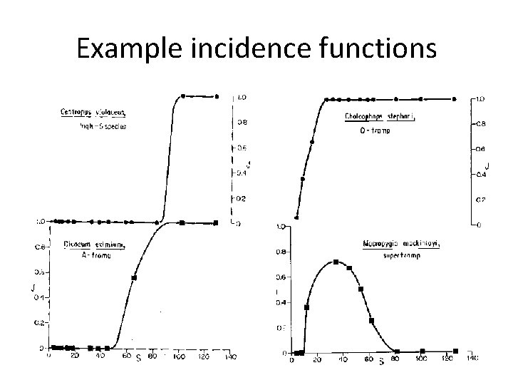 Example incidence functions 