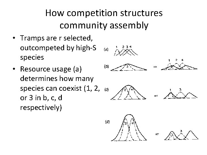 How competition structures community assembly • Tramps are r selected, outcompeted by high-S species