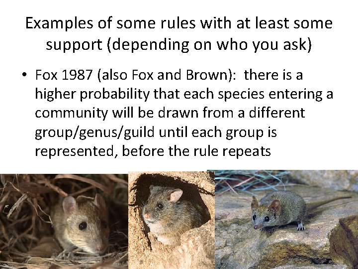 Examples of some rules with at least some support (depending on who you ask)