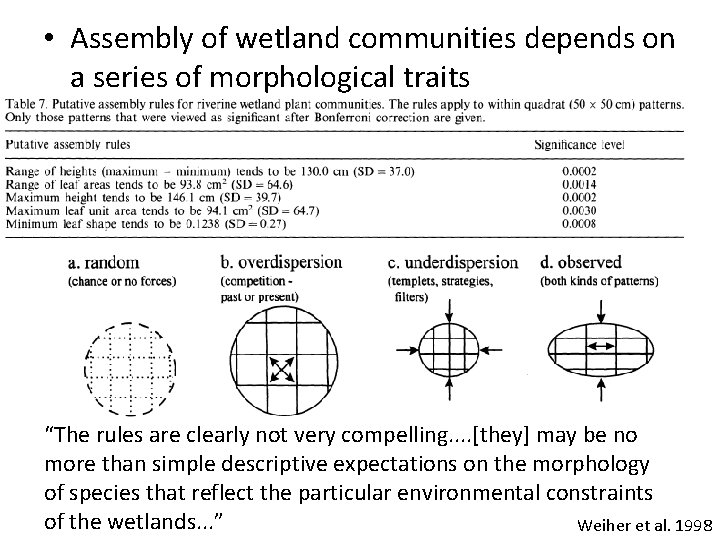  • Assembly of wetland communities depends on a series of morphological traits “The