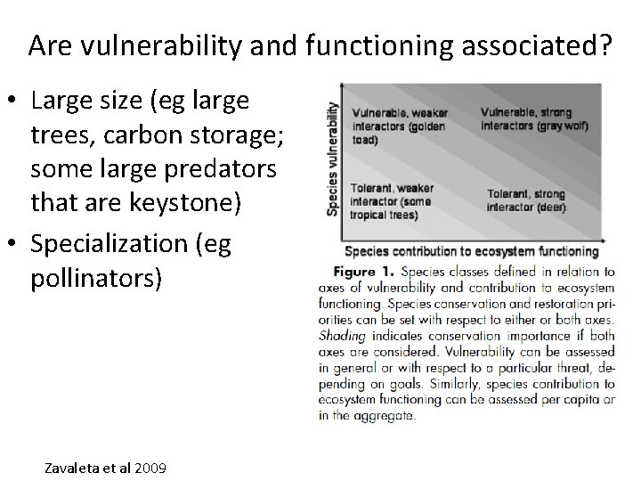 Are vulnerability and functioning associated? • Large size (eg large trees, carbon storage; some