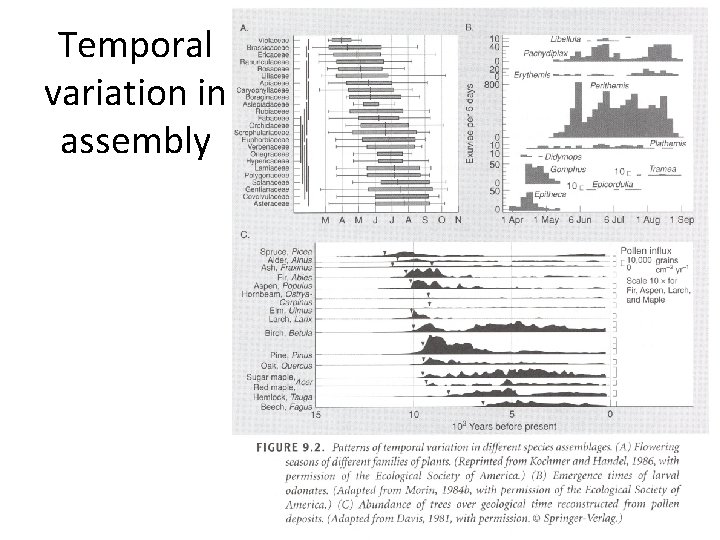 Temporal variation in assembly 
