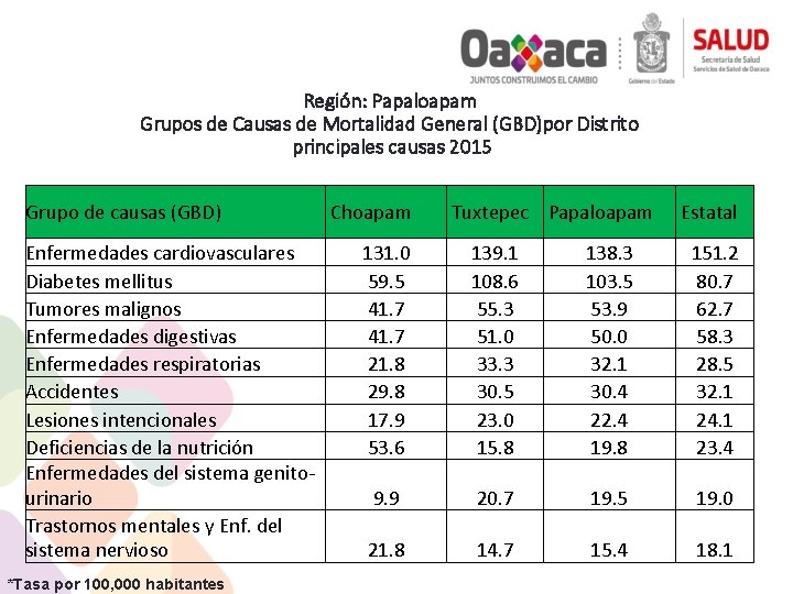 Región: Papaloapam Grupos de Causas de Mortalidad General (GBD)por Distrito principales causas 2015 Grupo