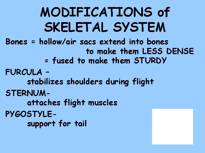 MODIFICATIONS of SKELETAL SYSTEM Bones = hollow/air sacs extend into bones to make them