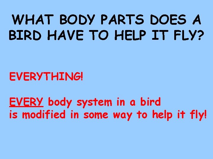 WHAT BODY PARTS DOES A BIRD HAVE TO HELP IT FLY? EVERYTHING! EVERY body