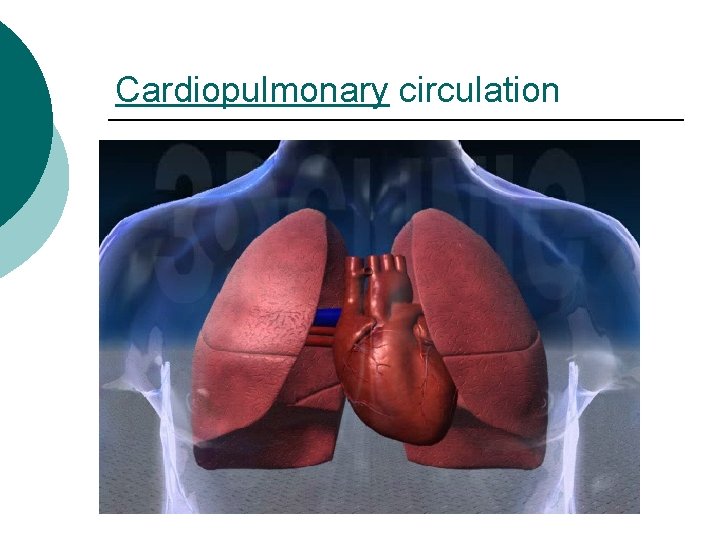 Cardiopulmonary circulation 