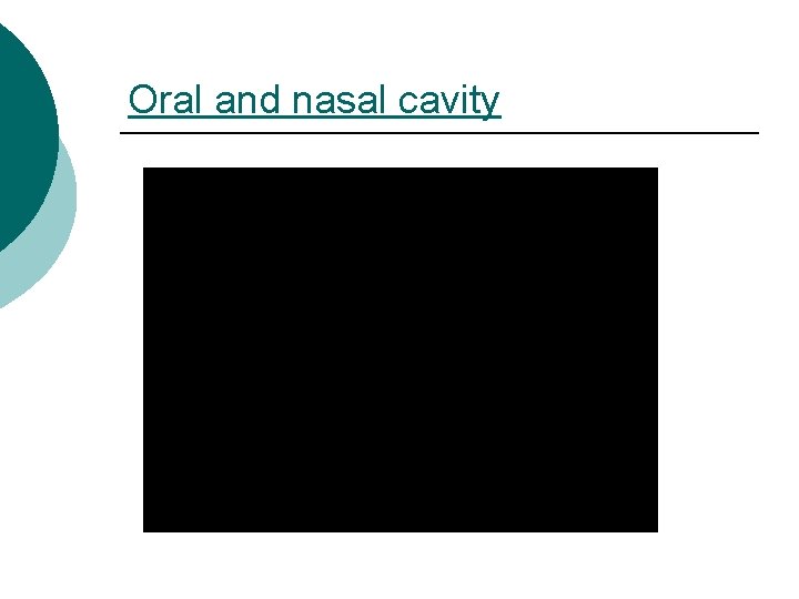 Oral and nasal cavity 