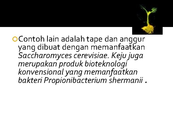  Contoh lain adalah tape dan anggur yang dibuat dengan memanfaatkan Saccharomyces cerevisiae. Keju