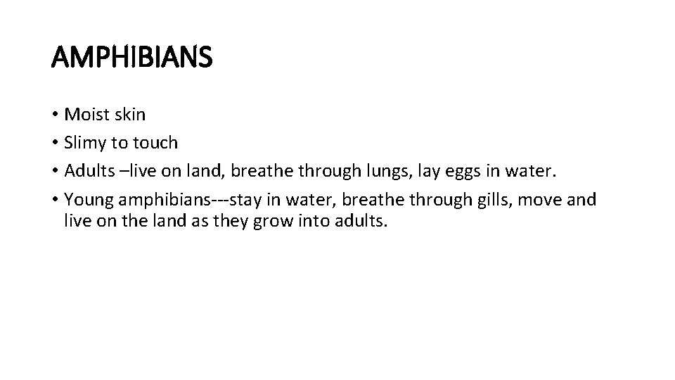 AMPHIBIANS • Moist skin • Slimy to touch • Adults –live on land, breathe