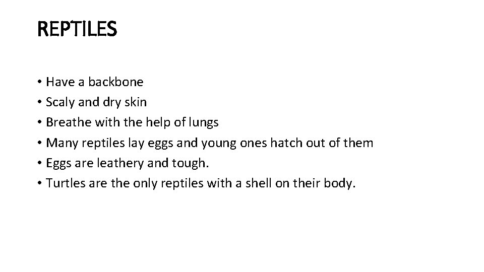REPTILES • Have a backbone • Scaly and dry skin • Breathe with the