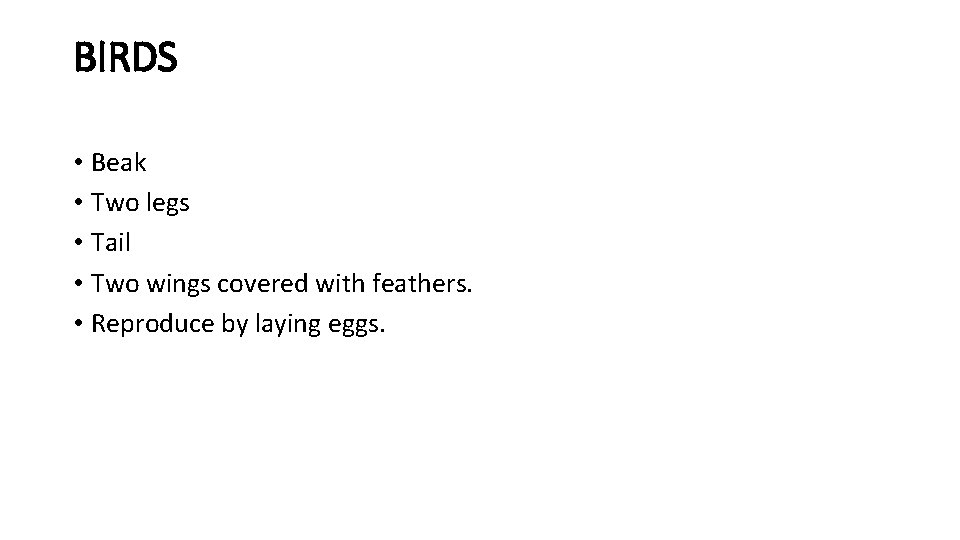 BIRDS • Beak • Two legs • Tail • Two wings covered with feathers.