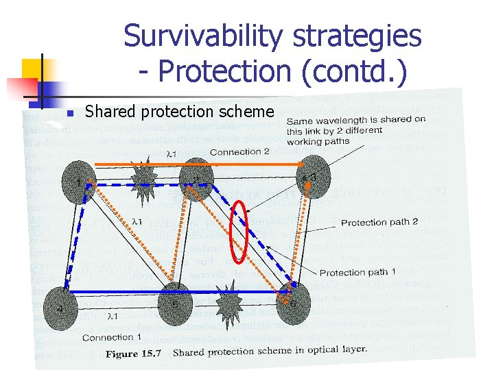 Survivability strategies - Protection (contd. ) n Shared protection scheme 