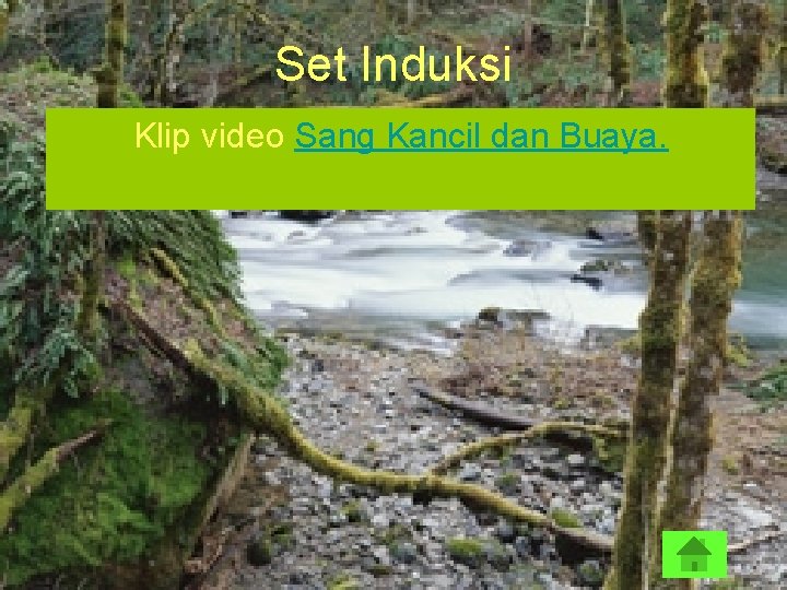 Set Induksi Klip video Sang Kancil dan Buaya. 